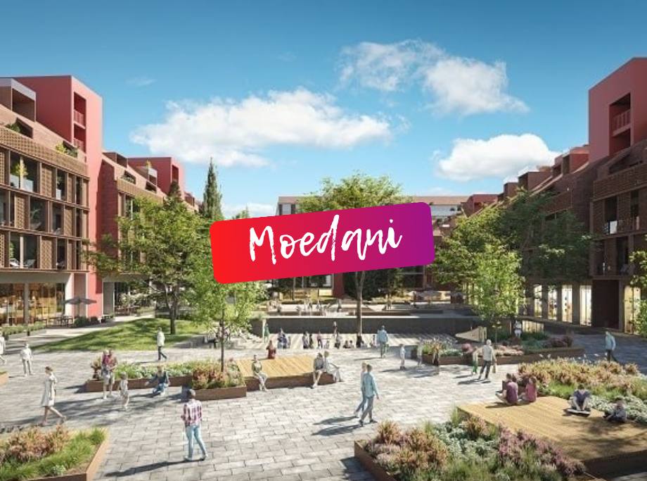 როგორ იცვლება iPhone-ის ფასები საქართველოში რეალური ბაზრის სურათი